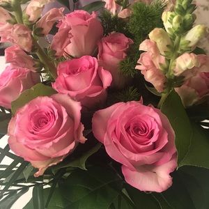 Meet your Posher, Diana